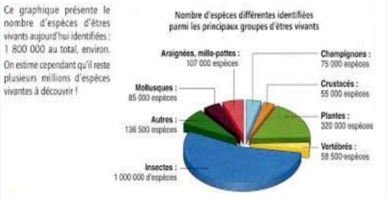 Série D'exercices Sur Classification Et Répartition Des êtres Vivants ...